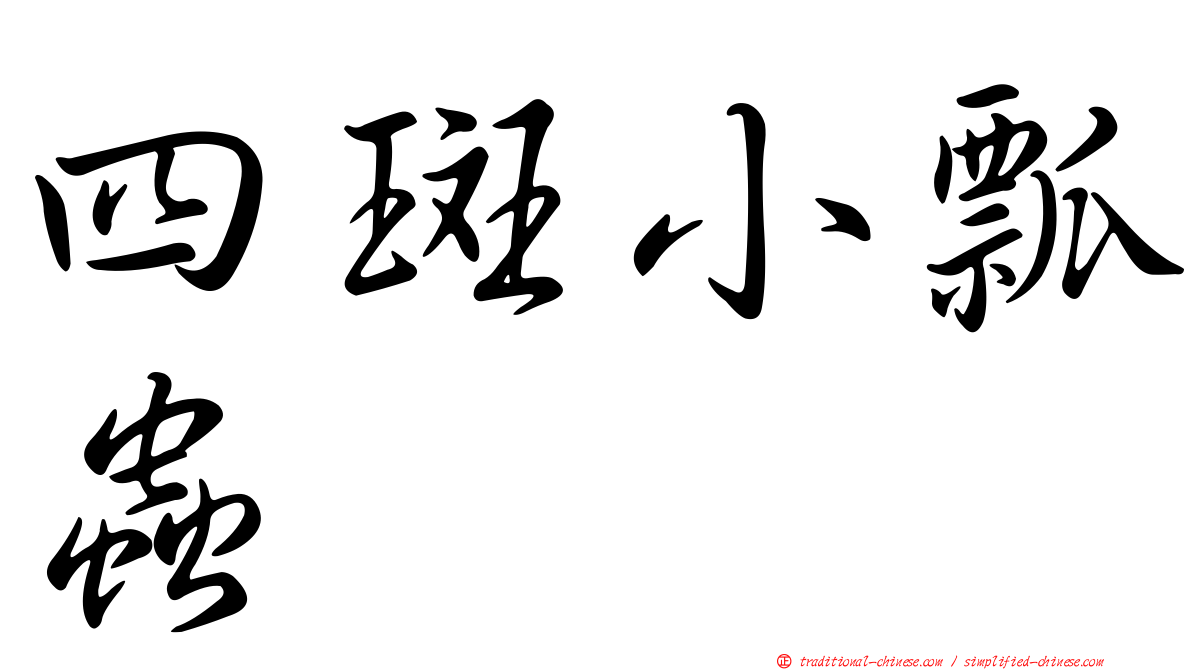 四斑小瓢蟲