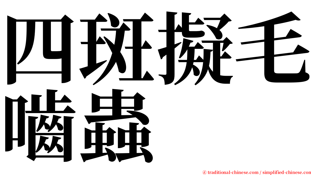 四斑擬毛嚙蟲 serif font