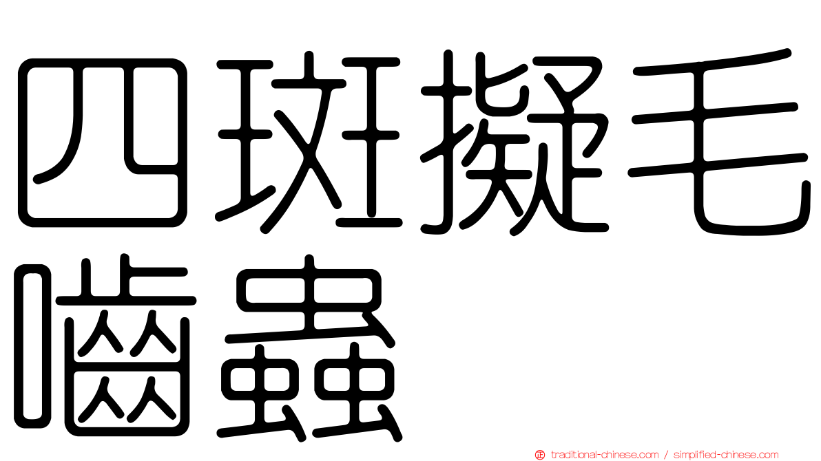 四斑擬毛嚙蟲