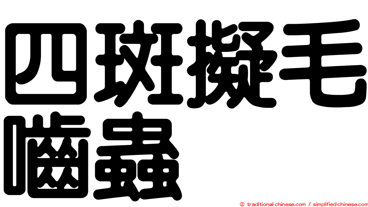 四斑擬毛嚙蟲