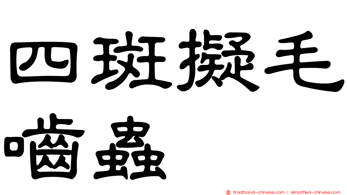 四斑擬毛嚙蟲