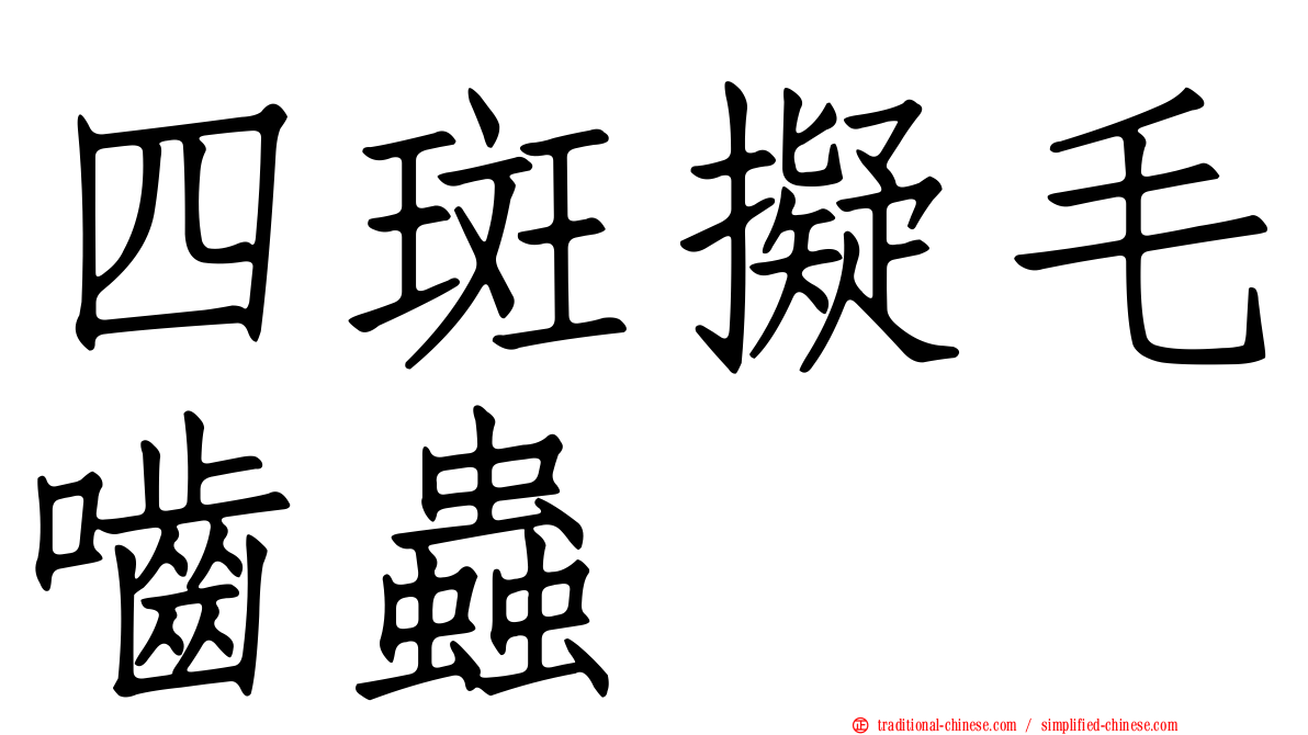 四斑擬毛嚙蟲