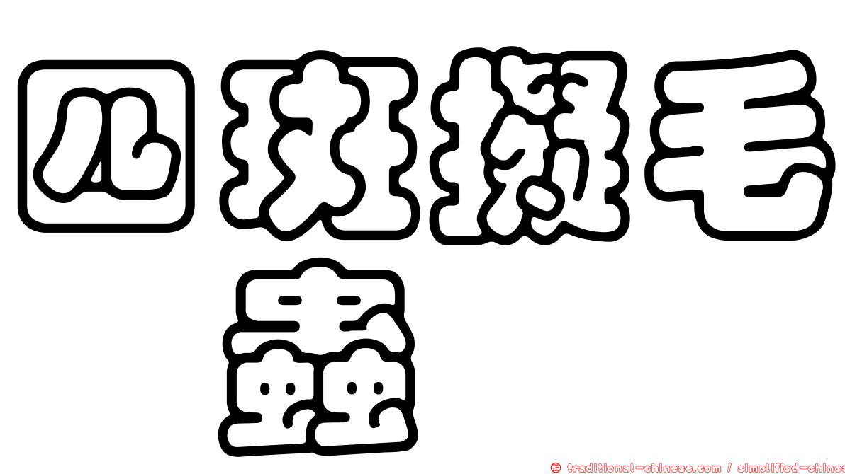 四斑擬毛嚙蟲