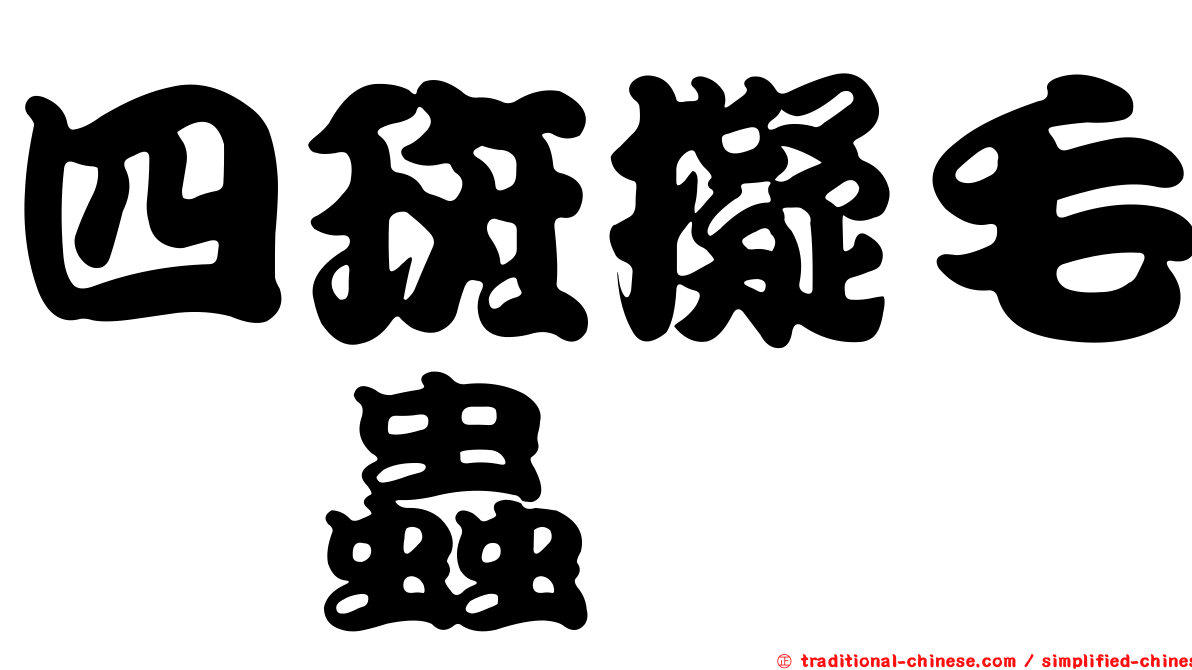 四斑擬毛嚙蟲