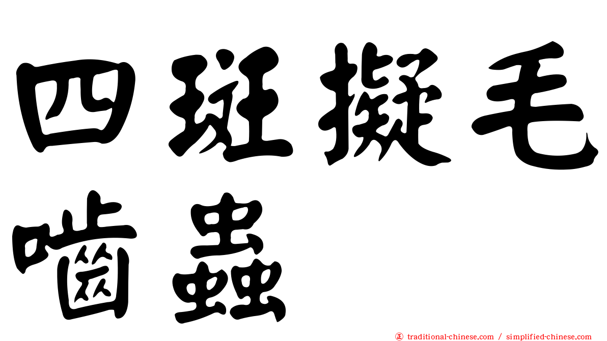 四斑擬毛嚙蟲