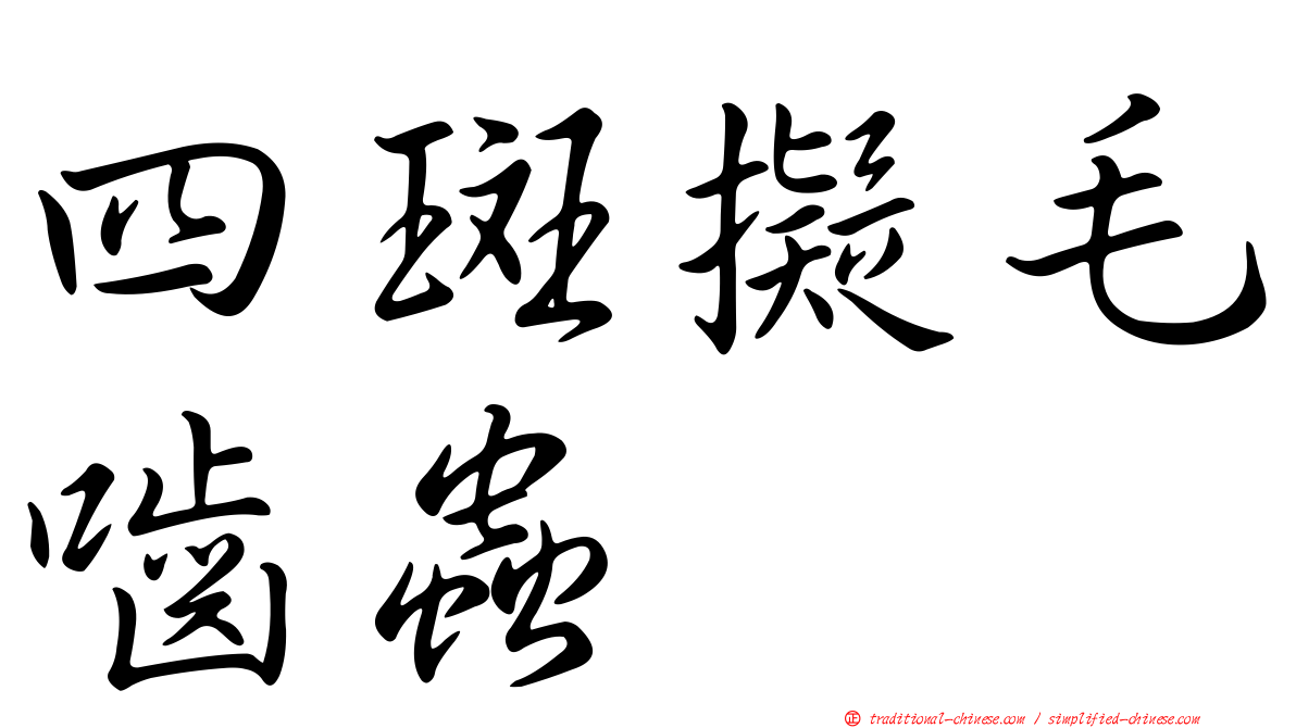四斑擬毛嚙蟲