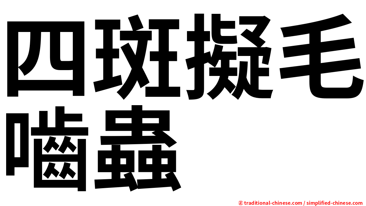 四斑擬毛嚙蟲