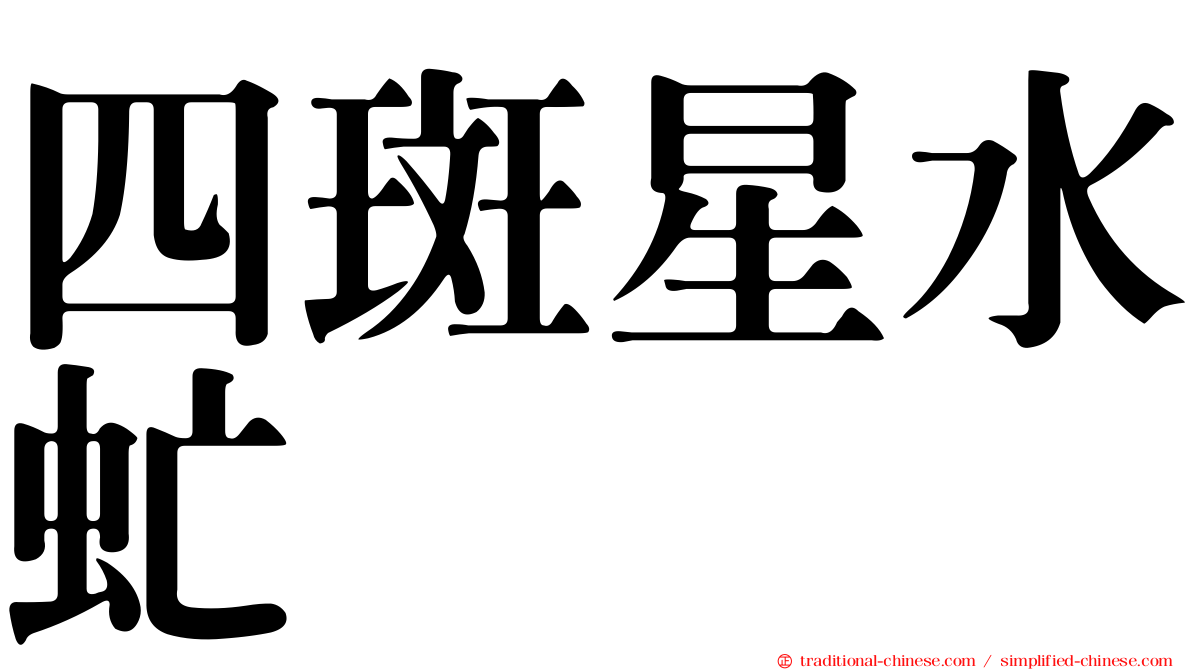 四斑星水虻