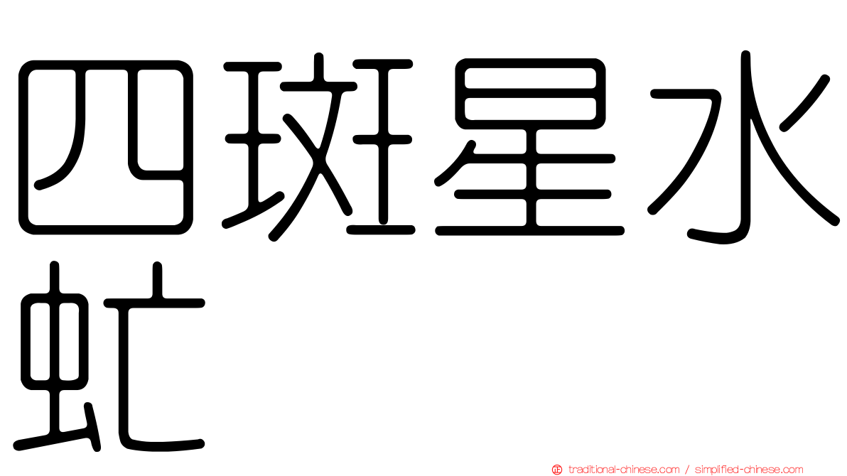 四斑星水虻