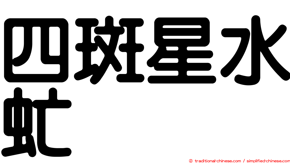 四斑星水虻