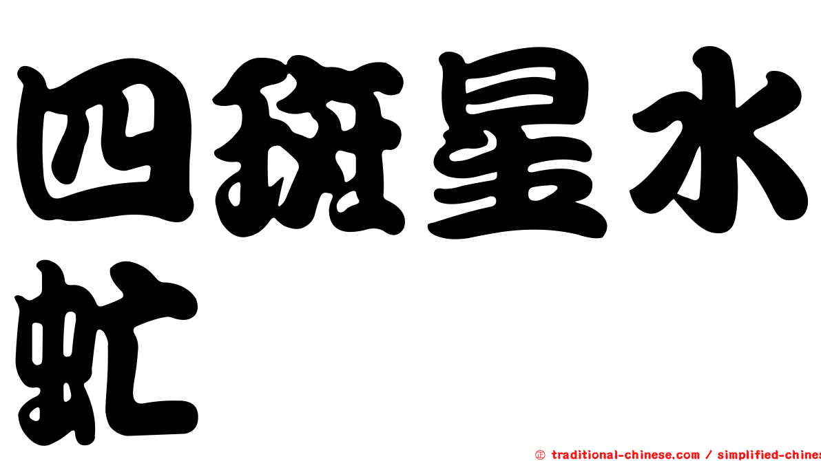 四斑星水虻