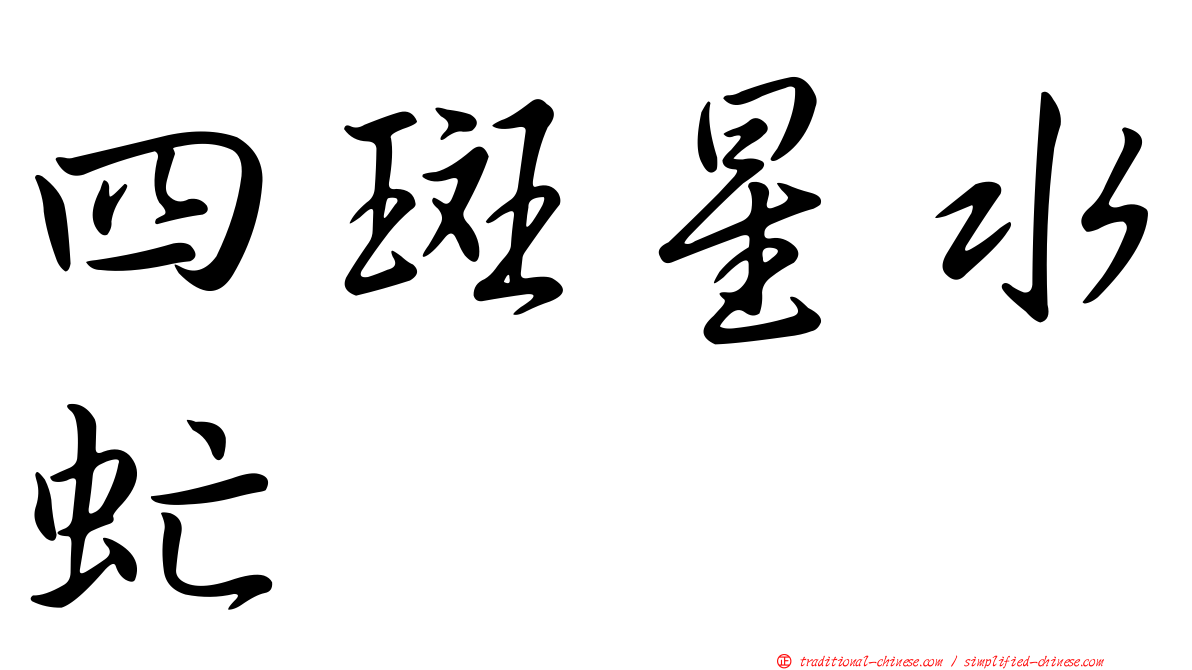 四斑星水虻