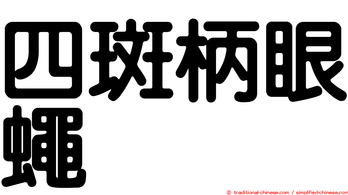 四斑柄眼蠅