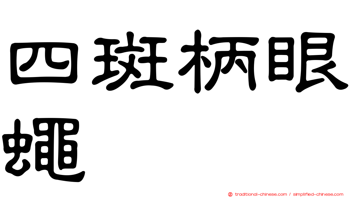 四斑柄眼蠅