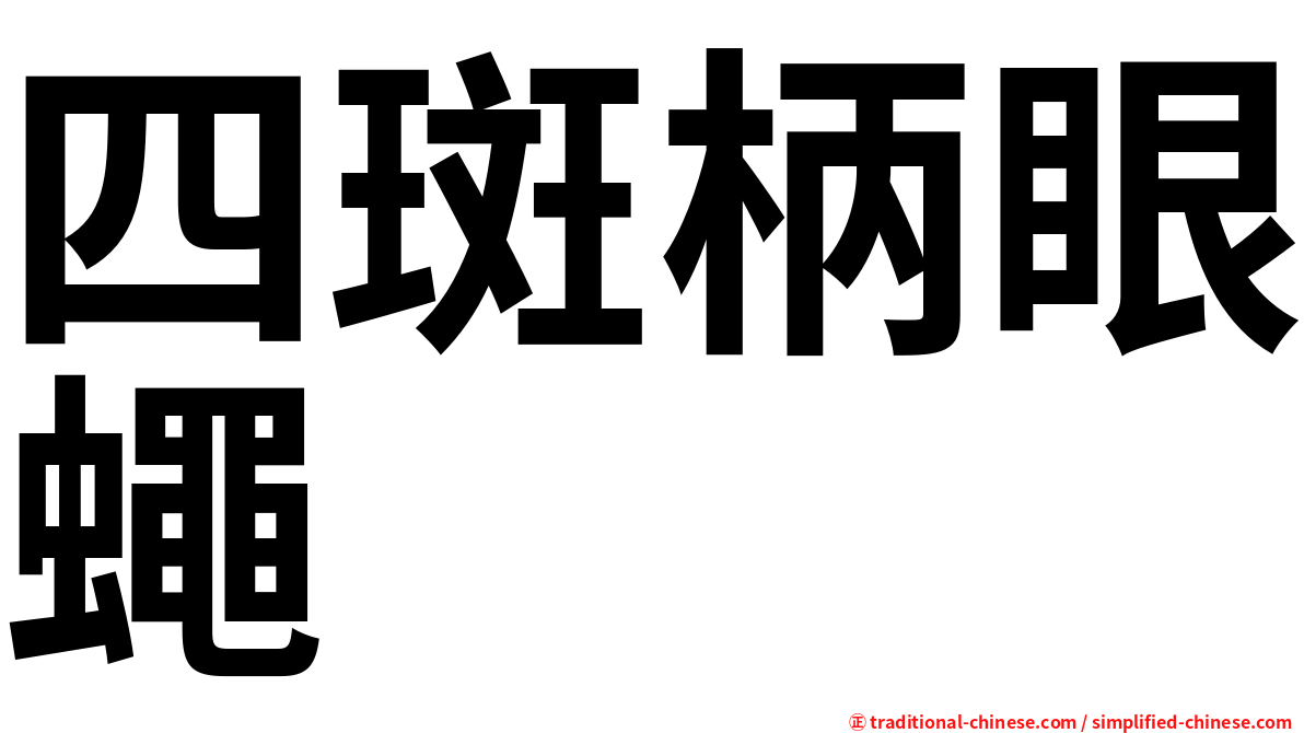 四斑柄眼蠅