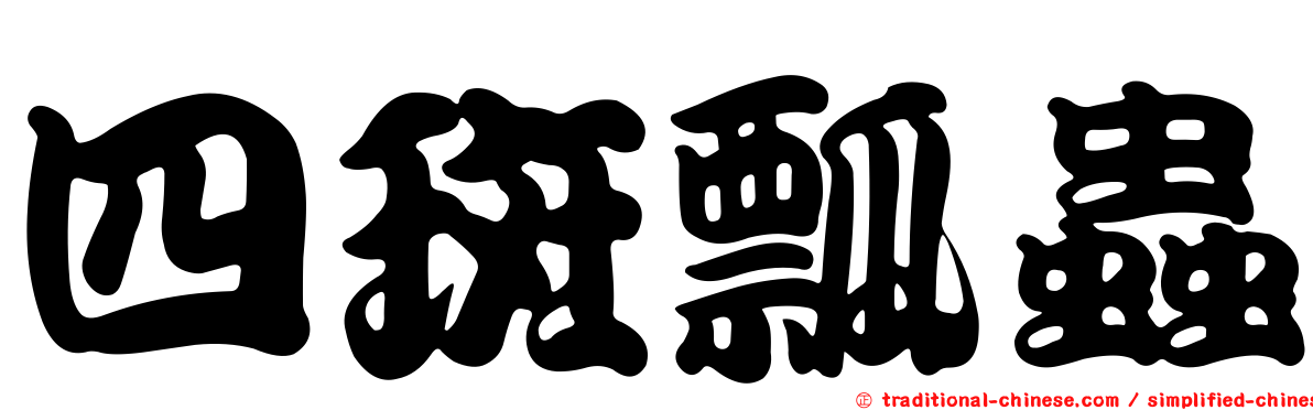 四斑瓢蟲