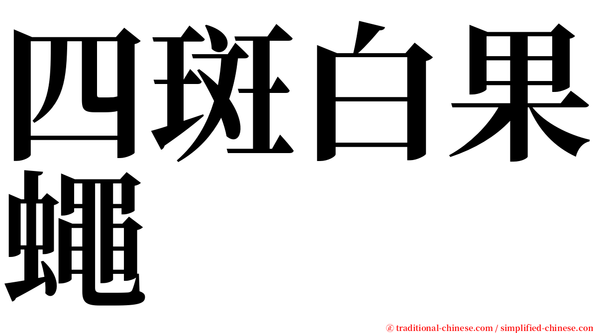 四斑白果蠅 serif font