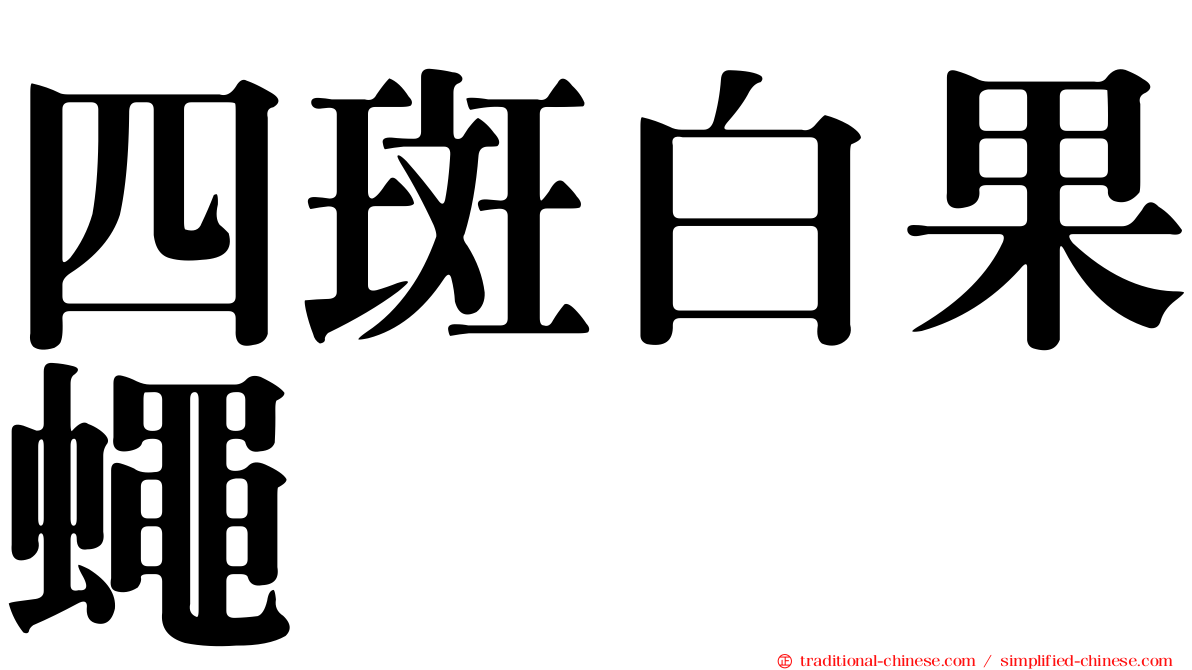 四斑白果蠅