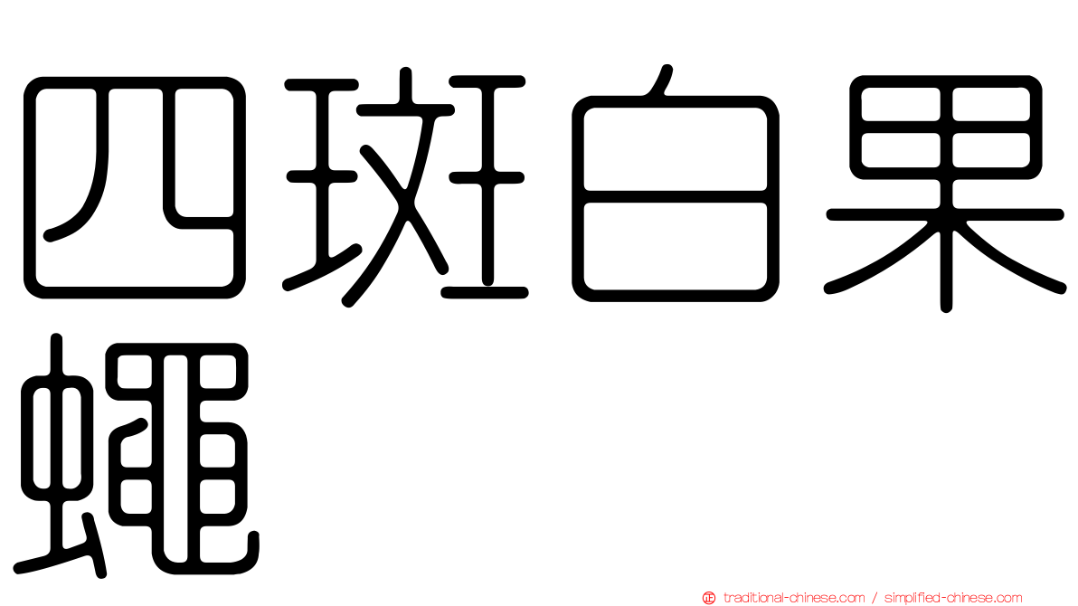 四斑白果蠅