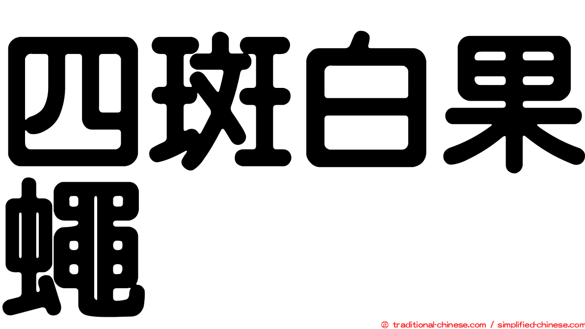 四斑白果蠅