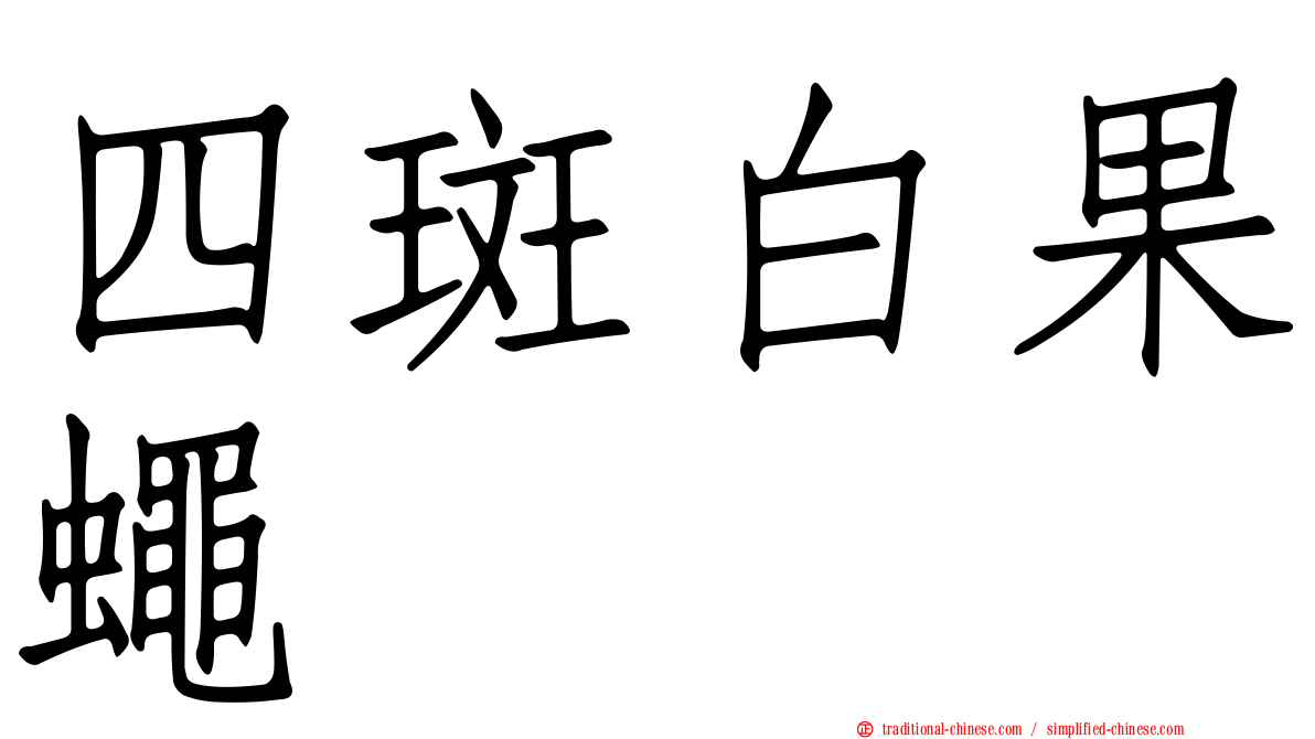 四斑白果蠅