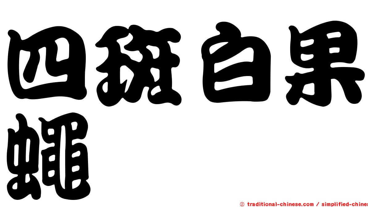 四斑白果蠅