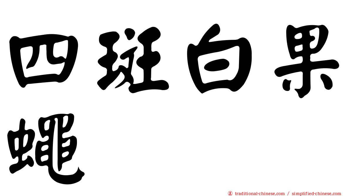 四斑白果蠅