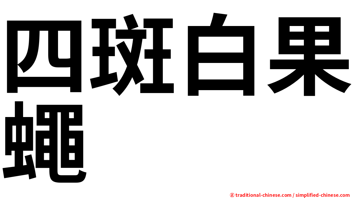 四斑白果蠅