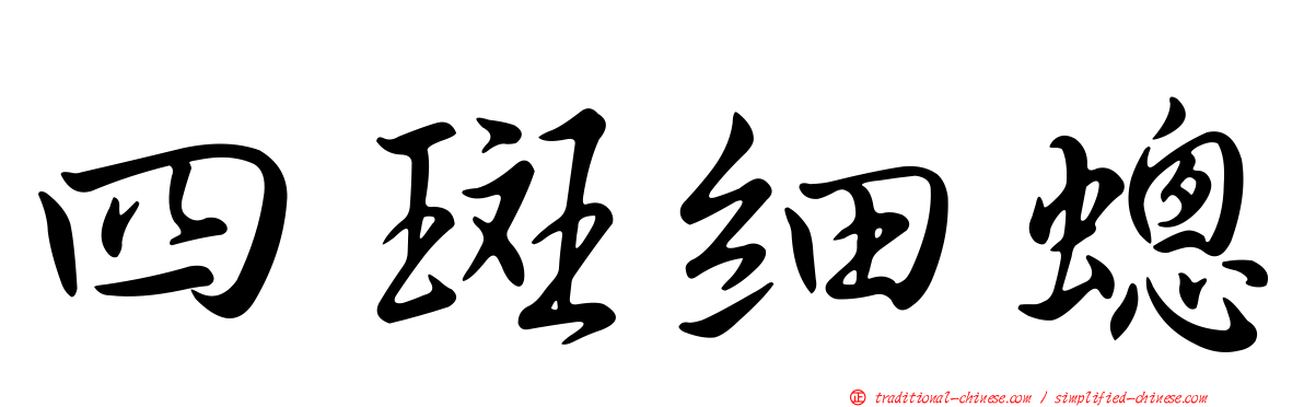 四斑細蟌