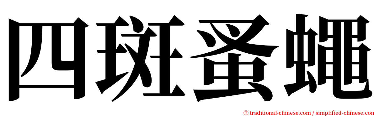 四斑蚤蠅 serif font