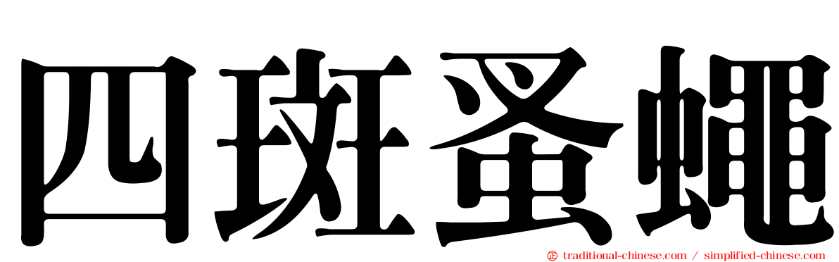 四斑蚤蠅