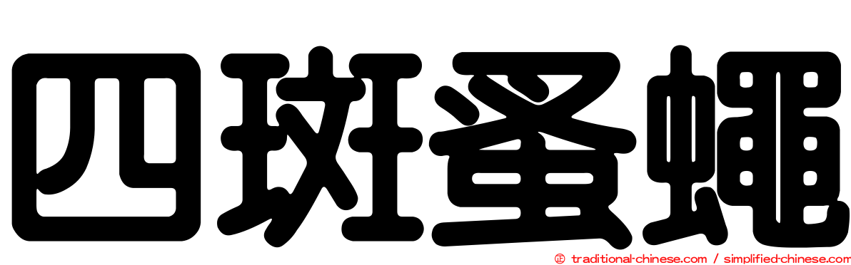 四斑蚤蠅