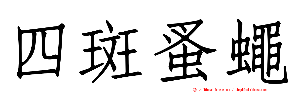 四斑蚤蠅