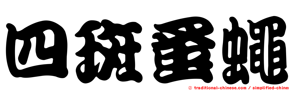 四斑蚤蠅