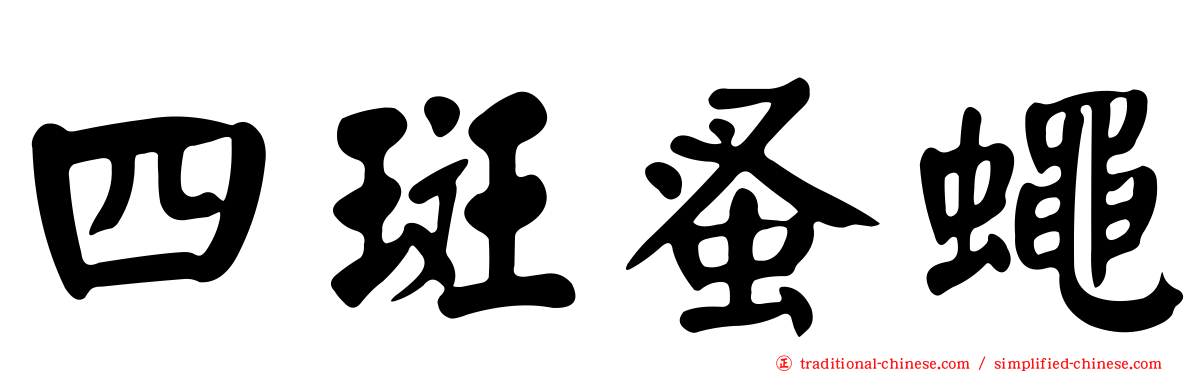 四斑蚤蠅
