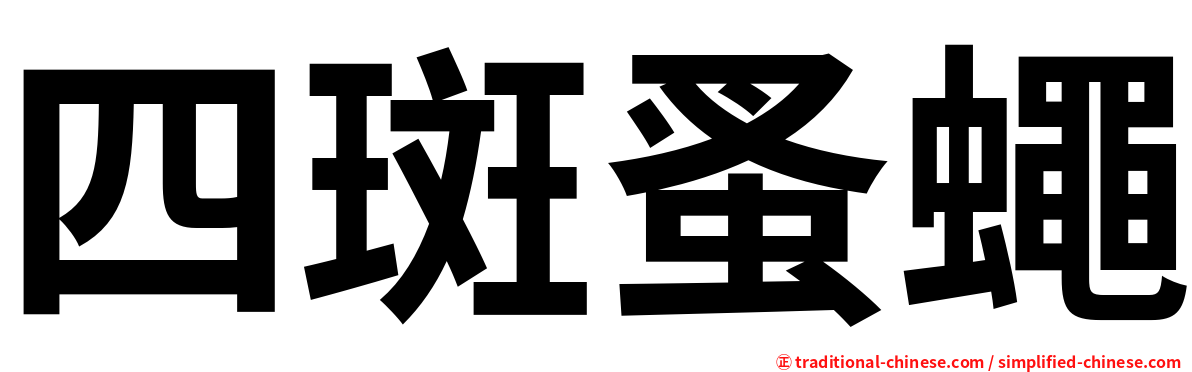 四斑蚤蠅