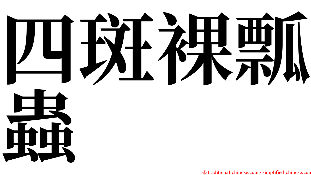 四斑裸瓢蟲 serif font