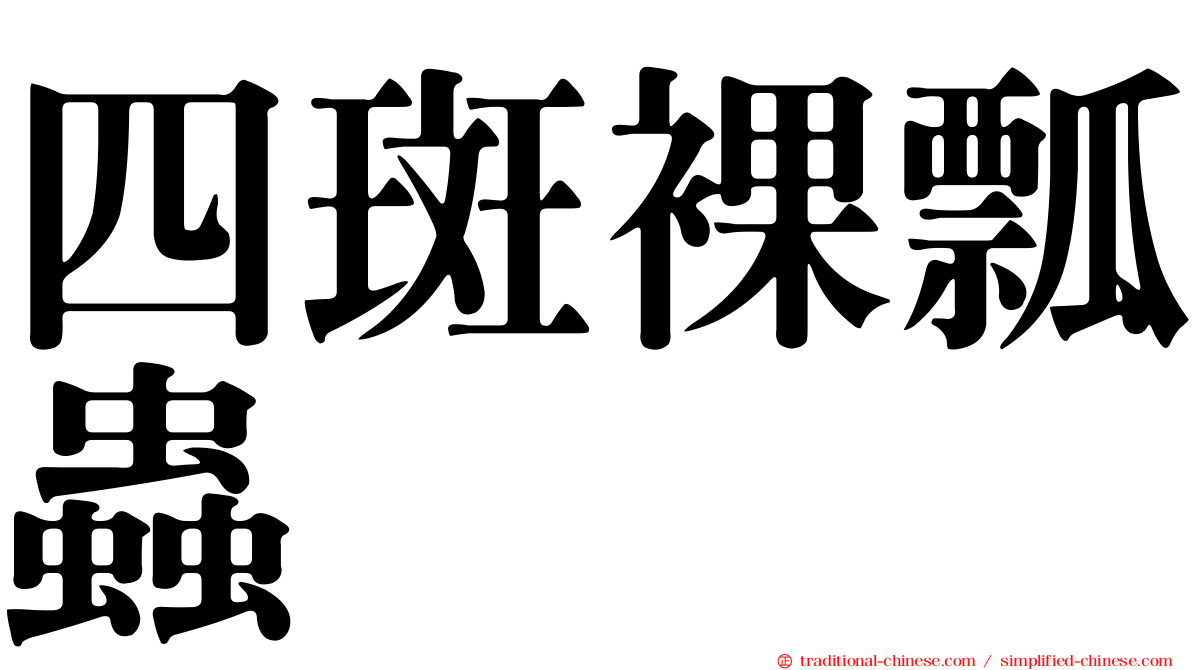 四斑裸瓢蟲