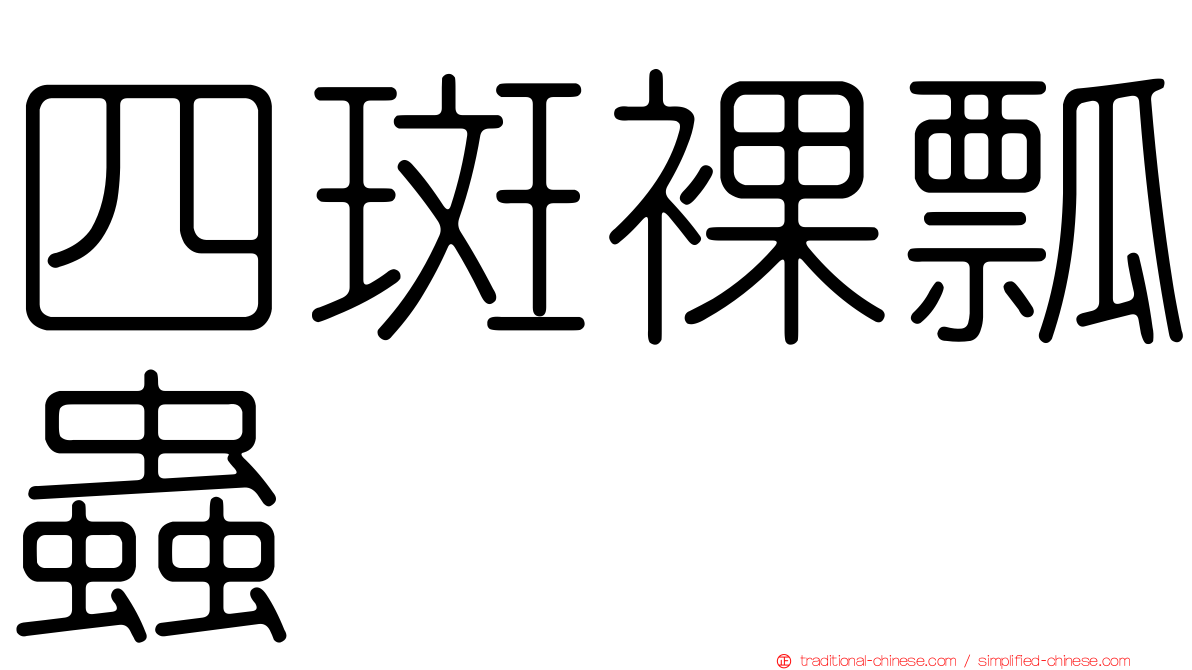 四斑裸瓢蟲