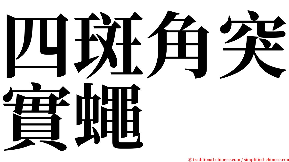 四斑角突實蠅 serif font