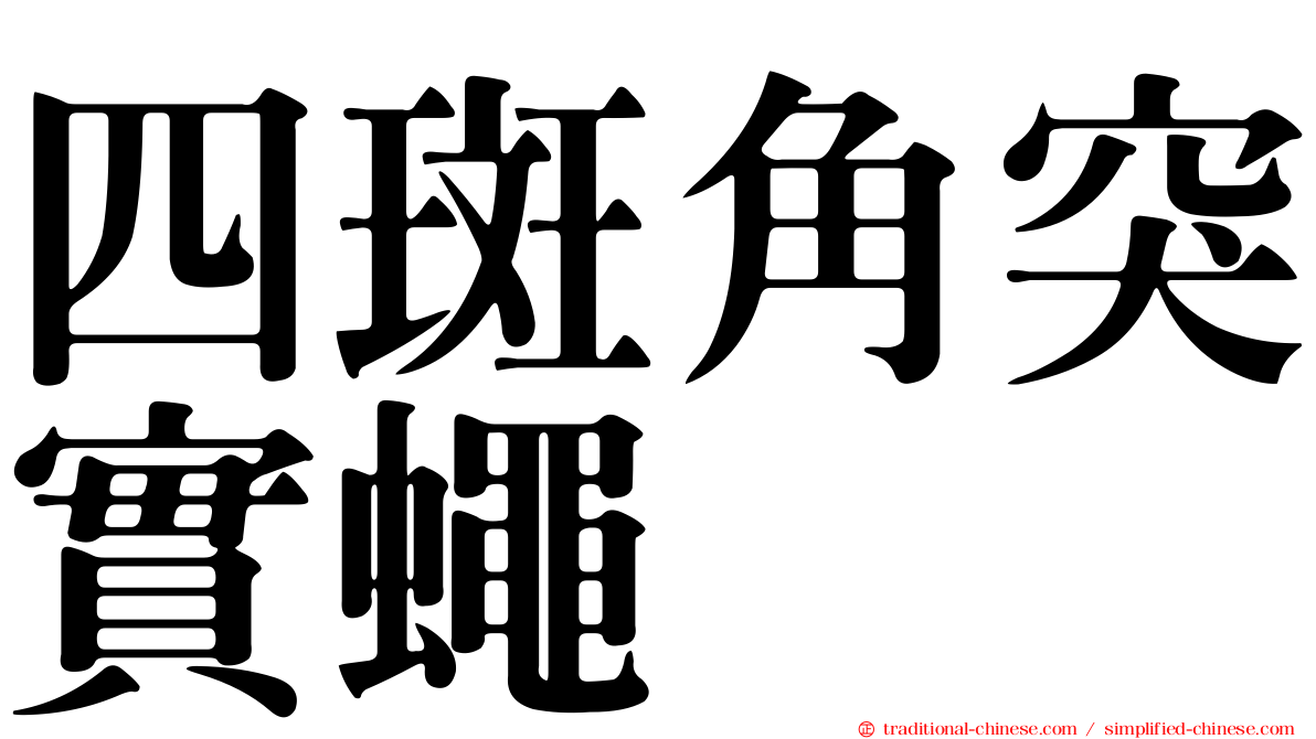 四斑角突實蠅