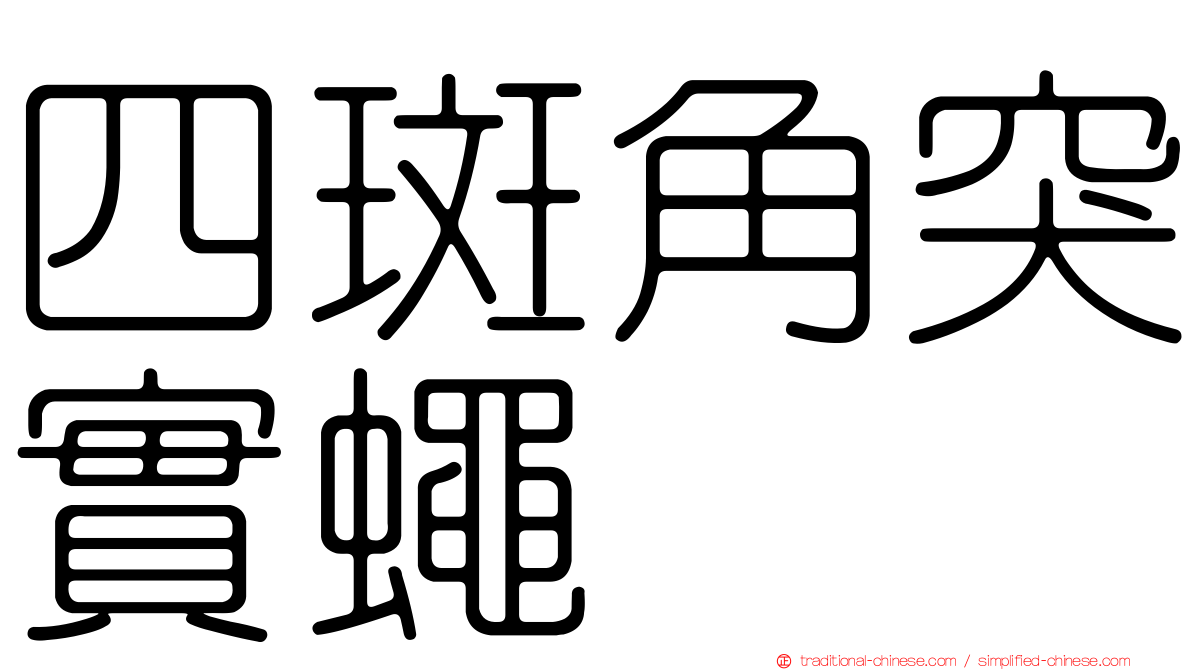 四斑角突實蠅