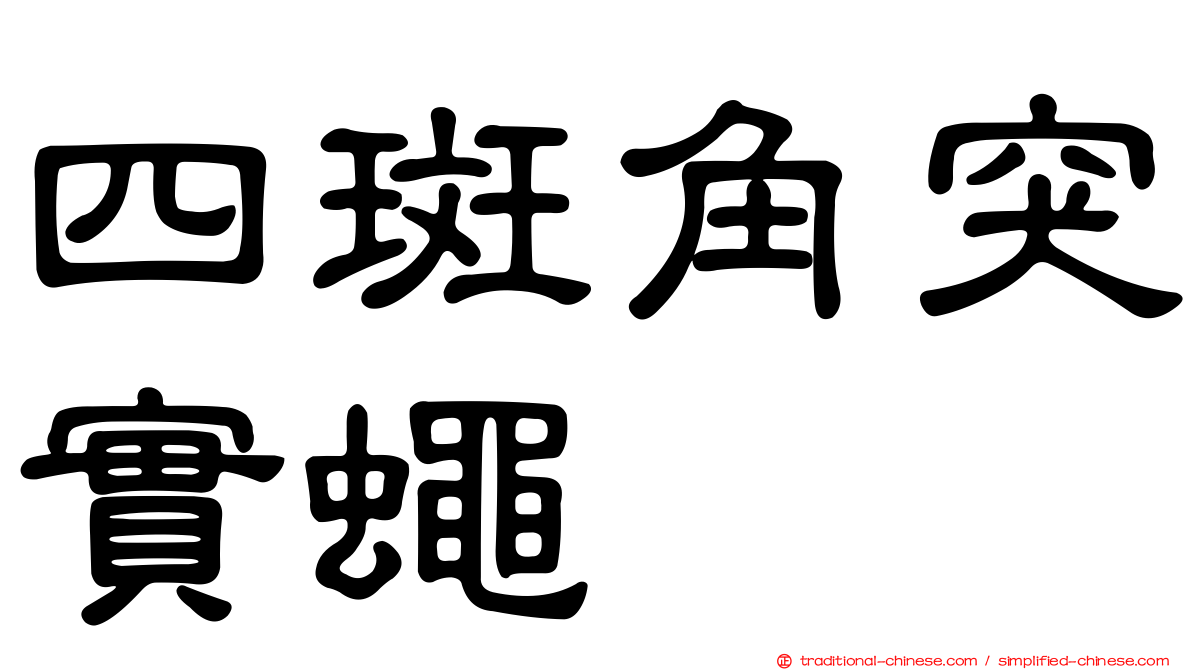 四斑角突實蠅