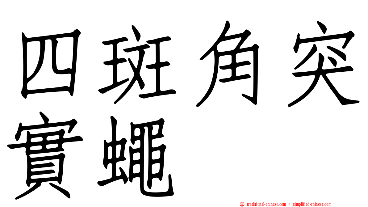 四斑角突實蠅