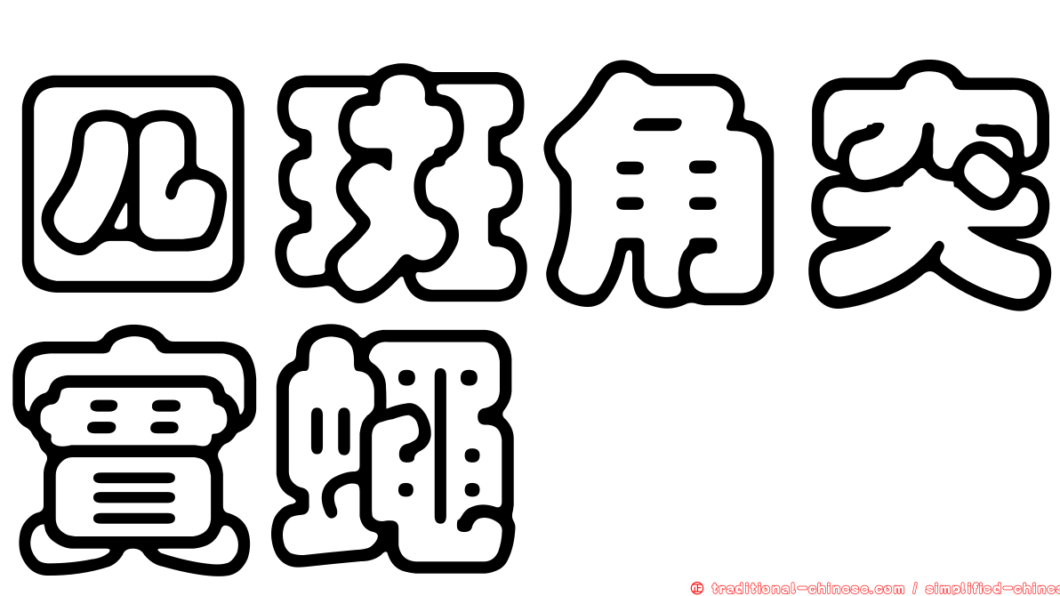 四斑角突實蠅