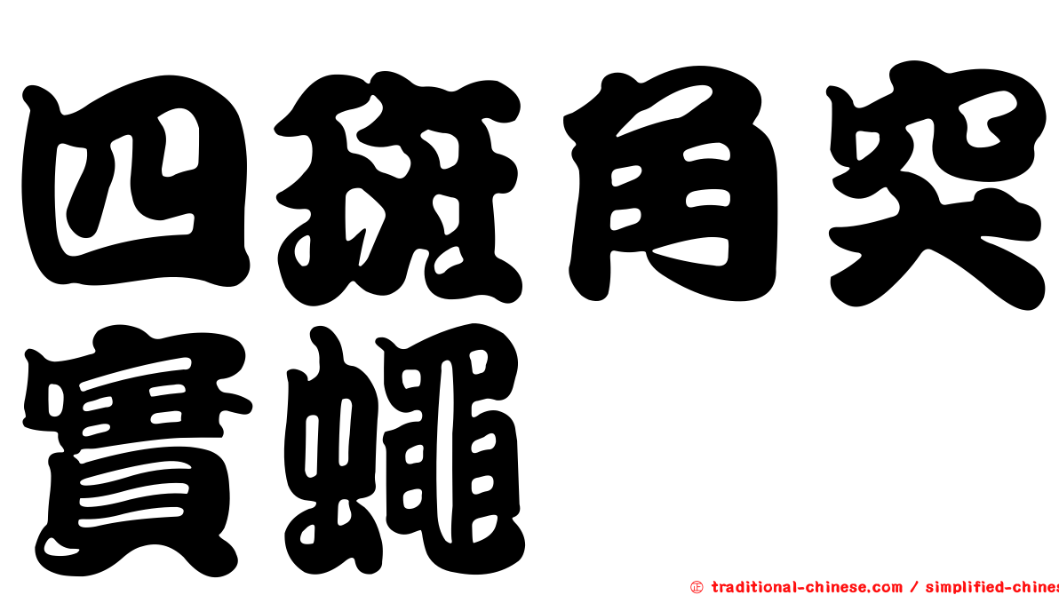 四斑角突實蠅