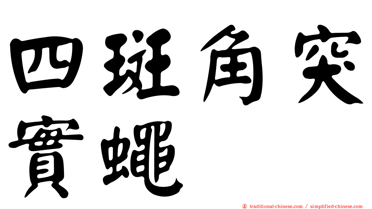 四斑角突實蠅