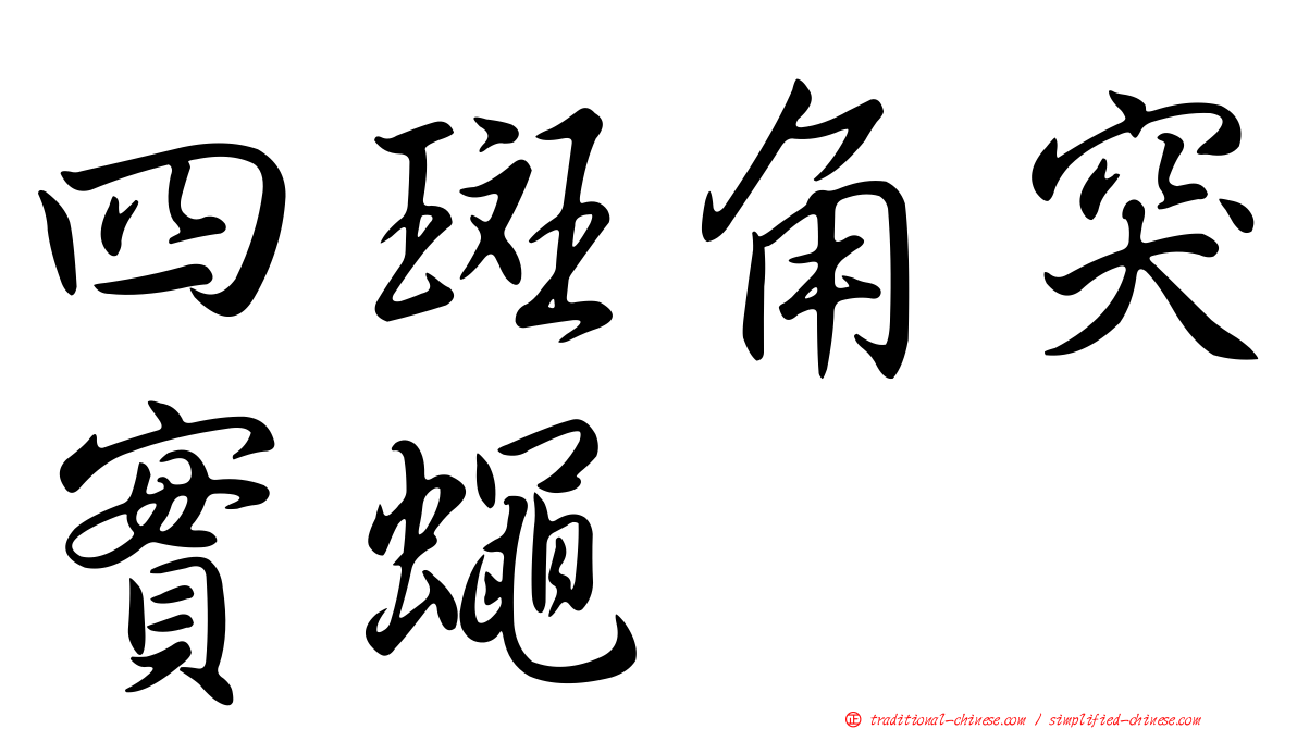 四斑角突實蠅