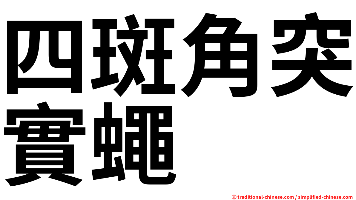 四斑角突實蠅