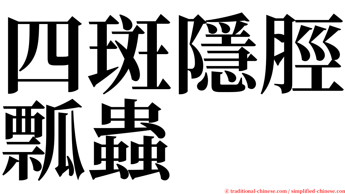 四斑隱脛瓢蟲 serif font